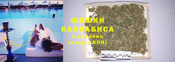 стафф Богородск