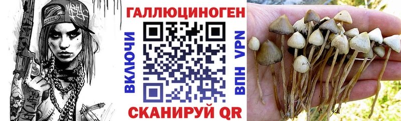 Галлюциногенные грибы прущие грибы  Няндома 