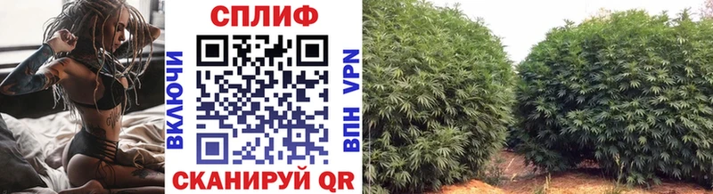продажа наркотиков  Няндома  Бошки Шишки индика 